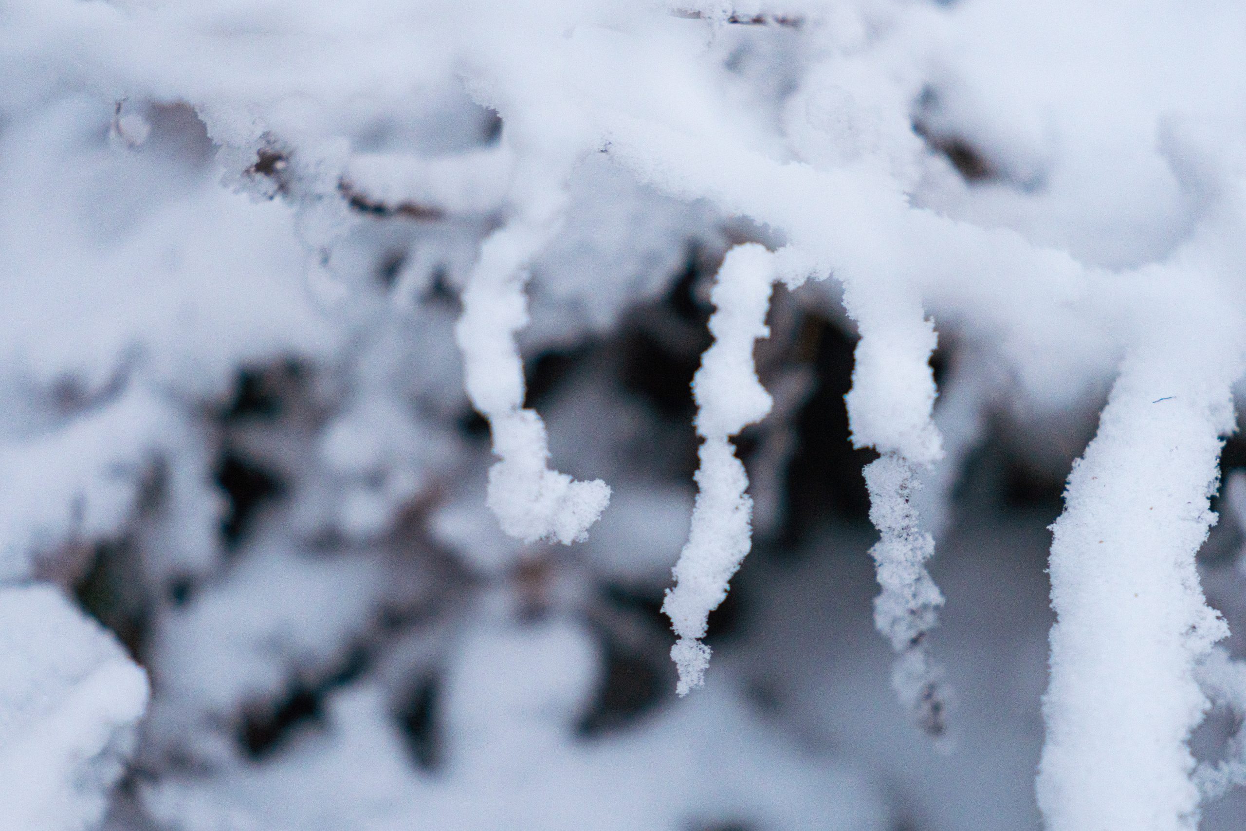 Tuesday's snow brings vehicle wrecks; warmer weather to return